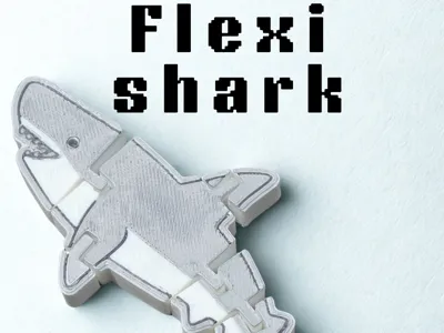 Flexi Shark