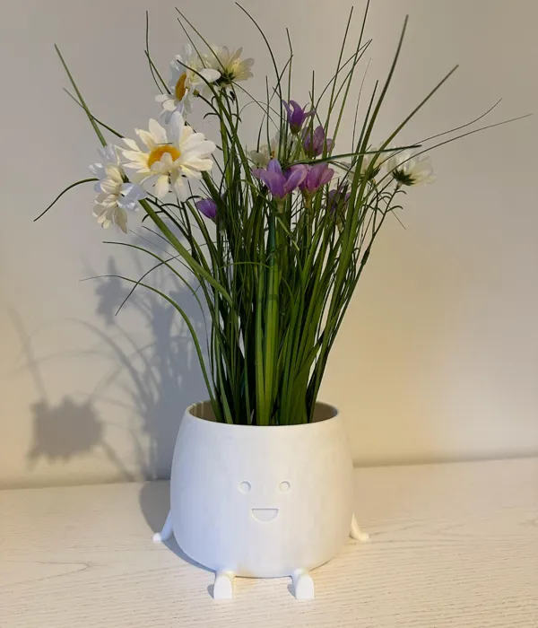 https://makerworld.bblmw.com/makerworld/model/USe644135561201a/design/2024-06-08_67555d269cb41.jpg