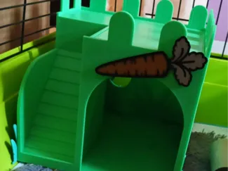 Bunny House