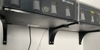 AMS Wall Mount