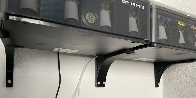 AMS Wall Mount