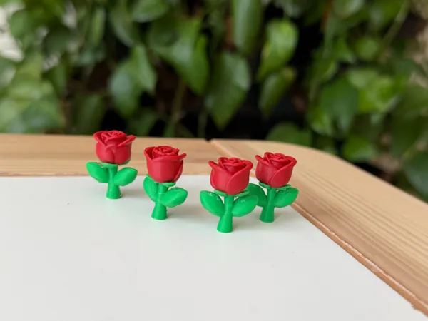 https://makerworld.bblmw.com/makerworld/model/USe6466bf89f660c/design/d65108e7b79c102d.jpeg