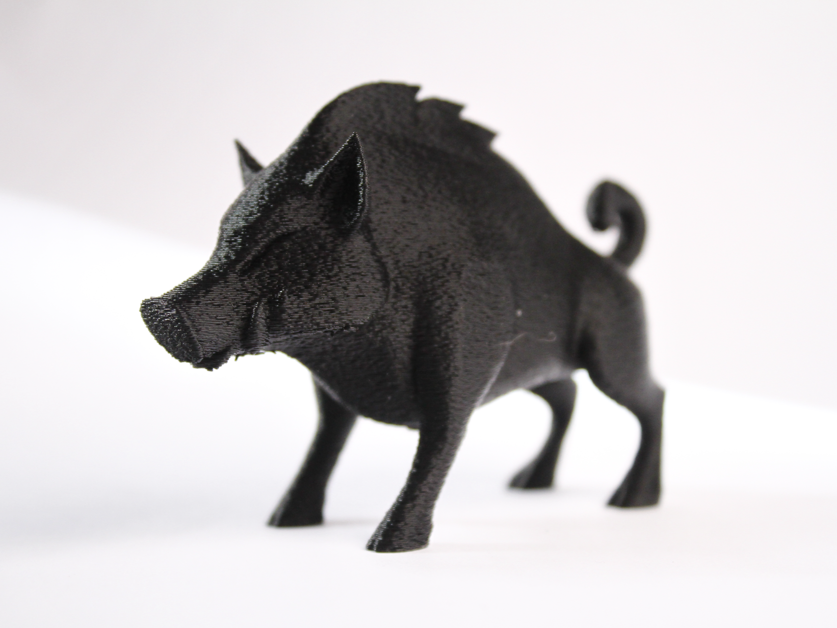 Wild Boar- Home Decor