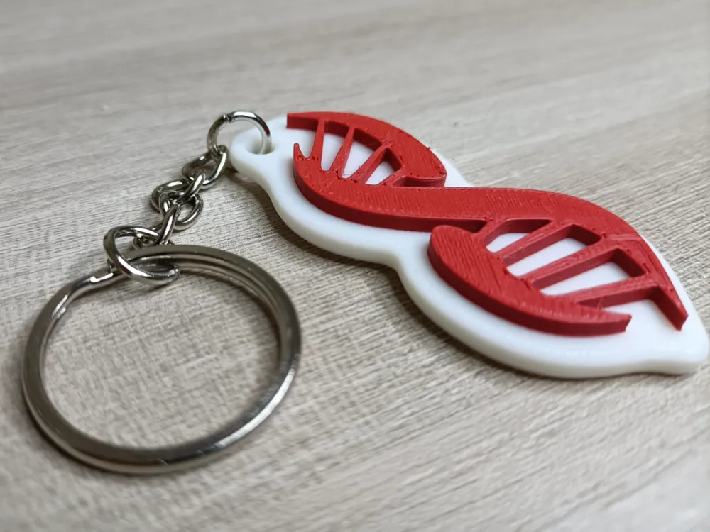 DNA Keychain by MC project - MakerWorld