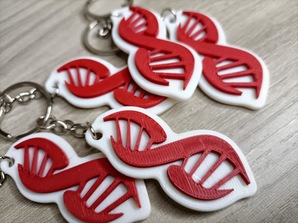 DNA Keychain by MC project - MakerWorld