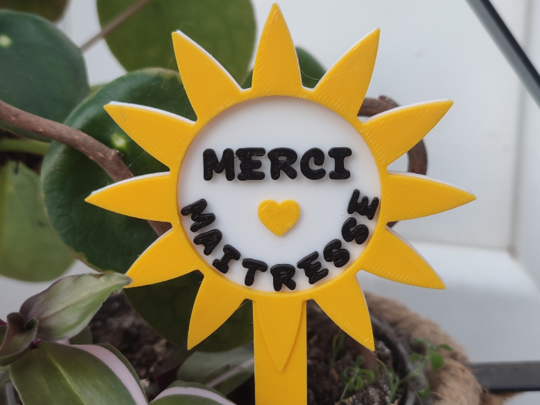 Piquet plante merci maitresse