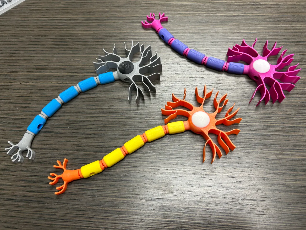 Articulated Neuron - My Last Nerve Desk Model view 3