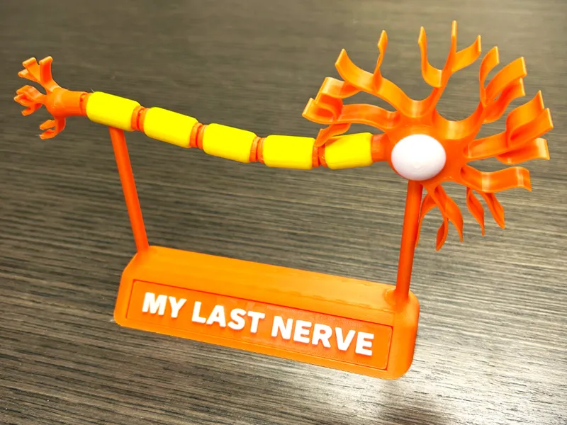 Articulated Neuron - My Last Nerve Desk Model