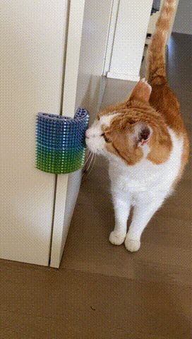 https://makerworld.bblmw.com/makerworld/model/USe6518e7cfd469c/design/2024-08-25_2e2392d577f46.gif