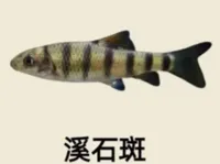 0.2mm 层高, 2 层墙, 15% 填充