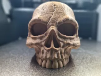 Skull Hide Vivarium Decor