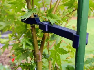 Tree support for young trees