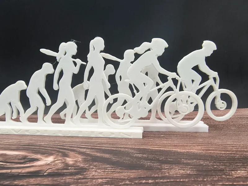 Human Evolution to Mountain Biker - Decor