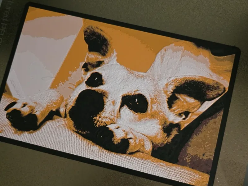 Foto Quadro cagnolina