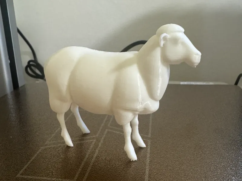 Sheep