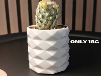 Cactus Vase