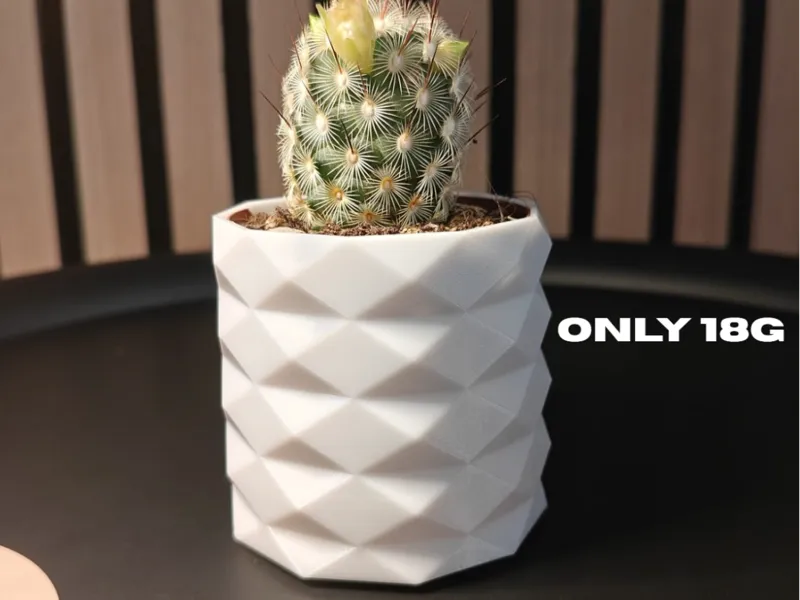 Cactus Vase