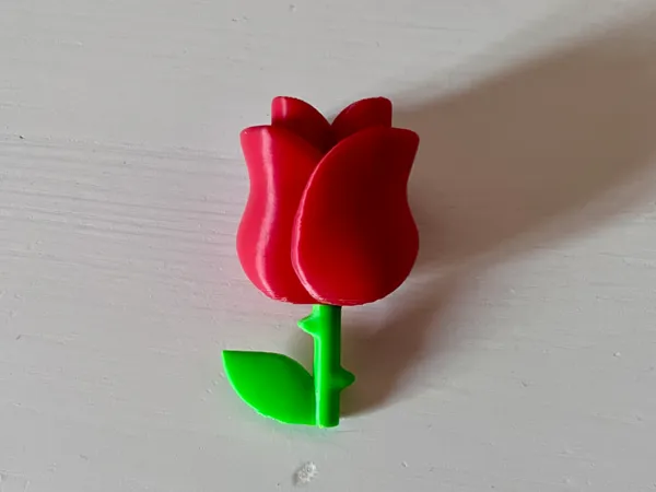 https://makerworld.bblmw.com/makerworld/model/USe6689ef7678ca6/design/2025-02-06_25844fde77b48.png