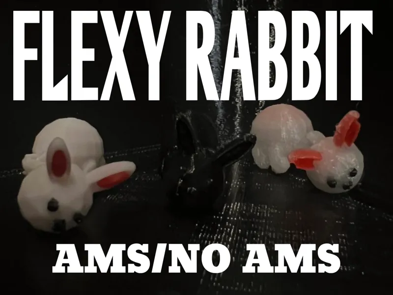 Flexy Rabbit: AMS\No AMS
