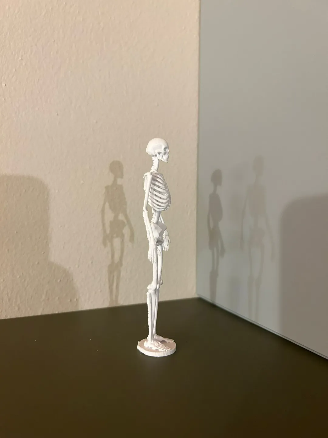 Bone Anatomy Of The Human Skeleton view 4