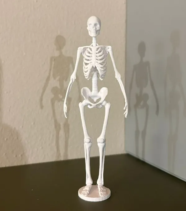 https://makerworld.bblmw.com/makerworld/model/USe66947f225f90b/design/2024-08-02_ed3aea0aa0f82.jpg