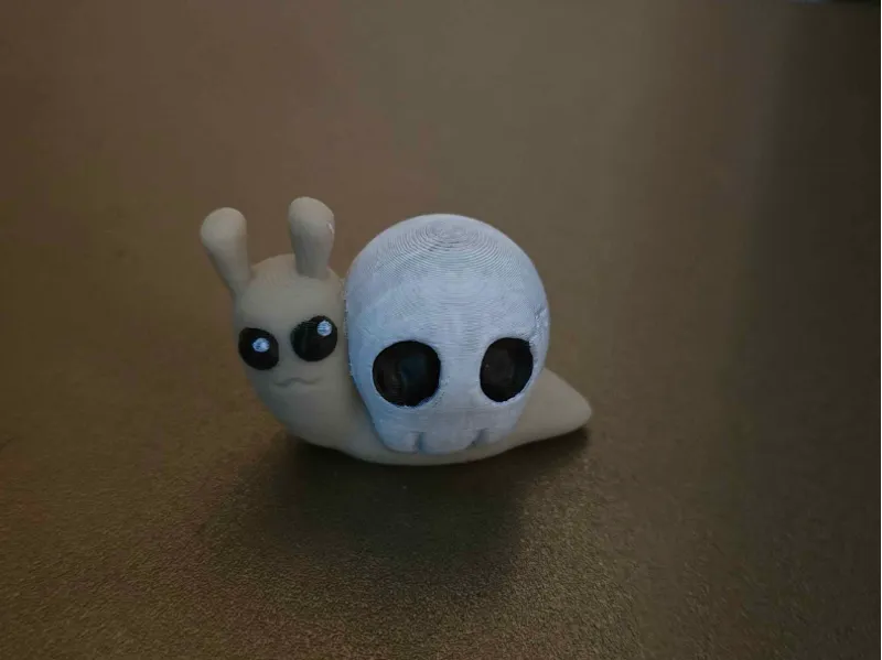 Snail Skull