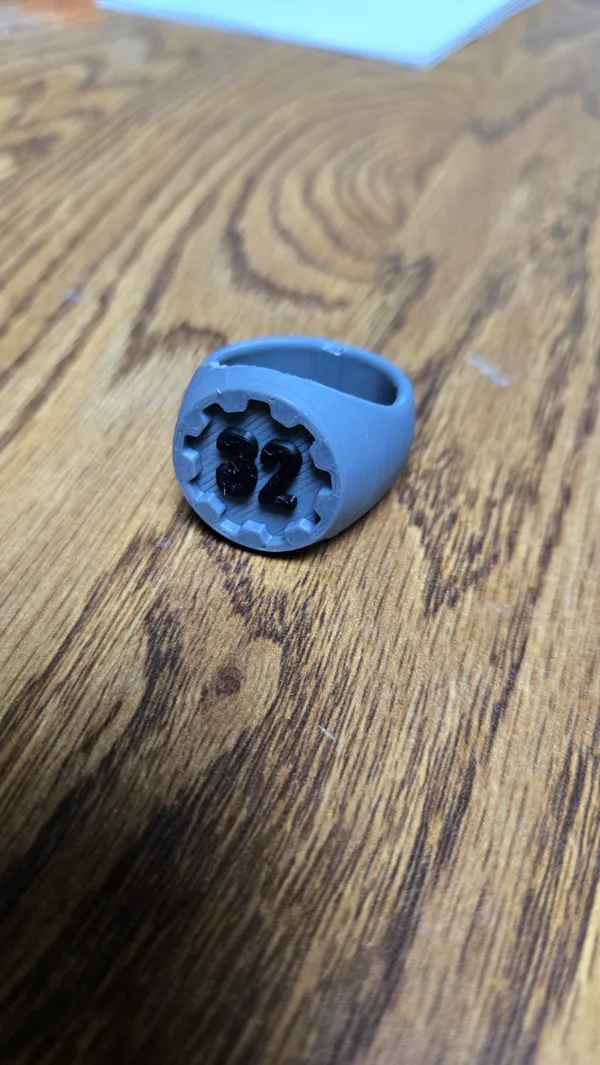 https://makerworld.bblmw.com/makerworld/model/USe670bf45370680/design/2024-04-26_32004f822f4ec.jpg