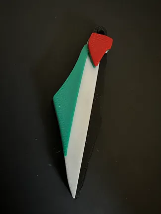 Palestine Map Flag