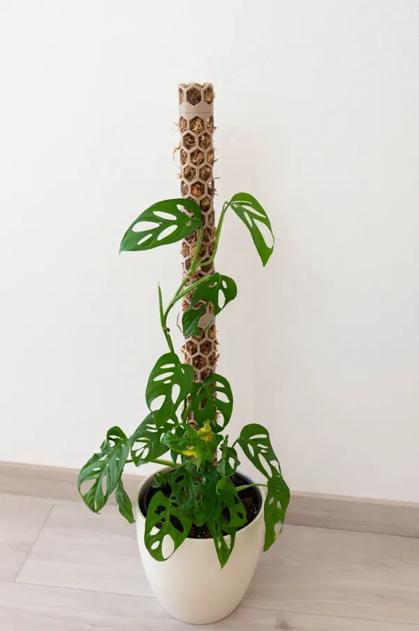 https://makerworld.bblmw.com/makerworld/model/USe67ba69ba297d1/design/2023-09-23_ee06bc2e1288a.webp