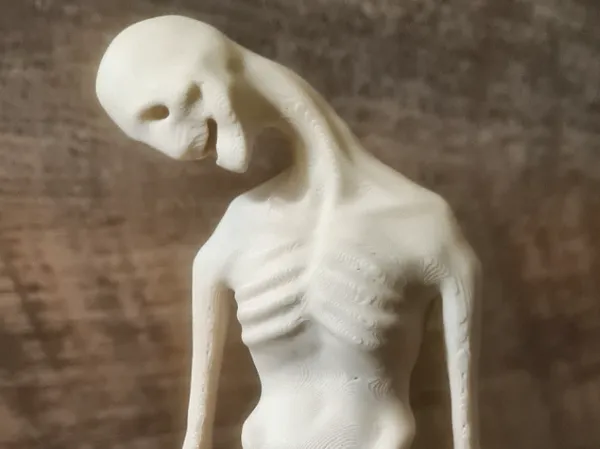 https://makerworld.bblmw.com/makerworld/model/USe67cad71376059/design/3d2270635e716ef4.jpg