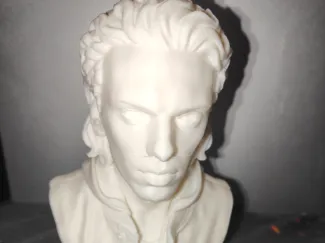 Jamie Campbell Bower Bust