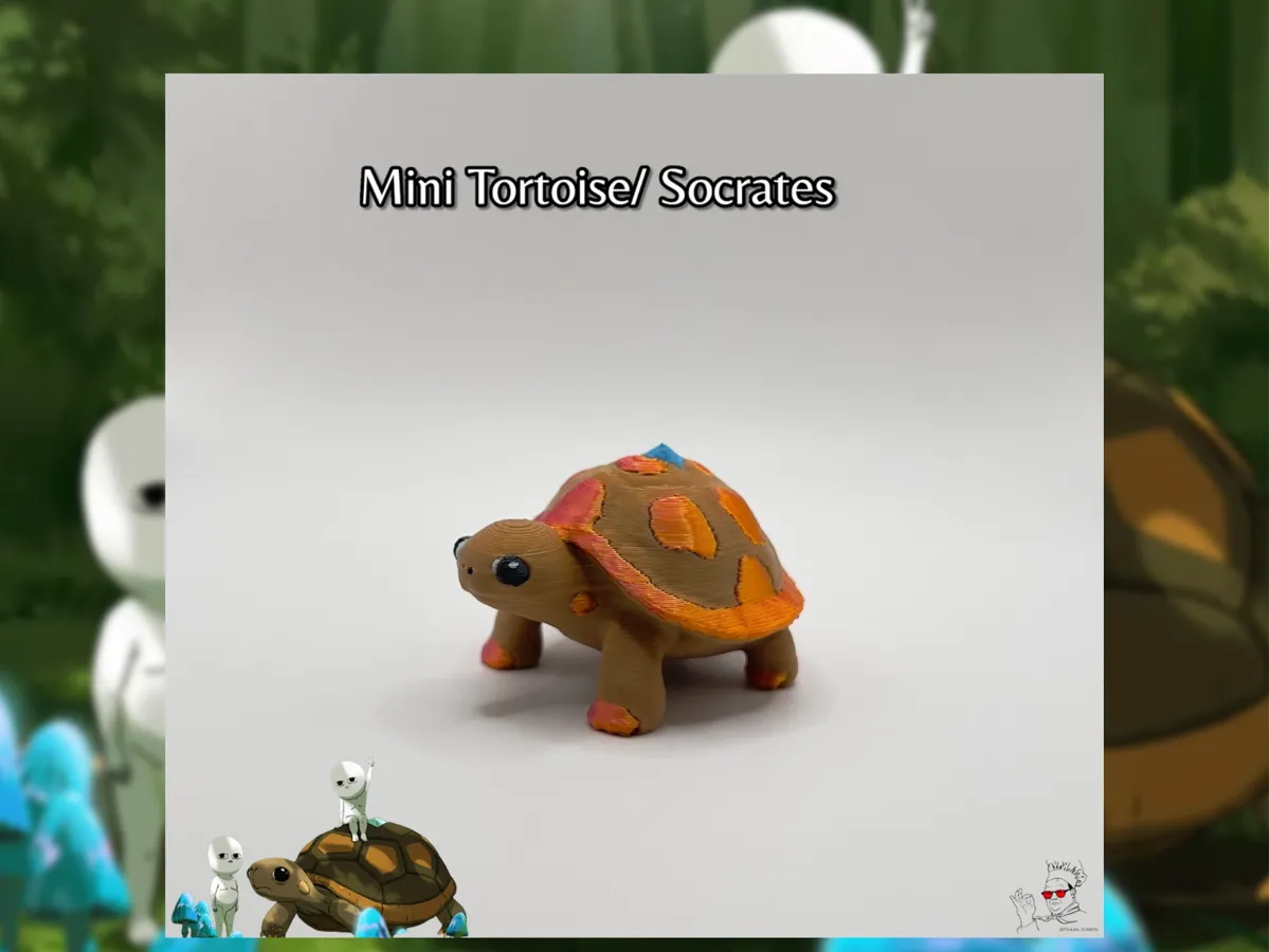 Mini Tortuga/ Sócrates de "Efectos Secundarios Comunes" - Modelo de ...