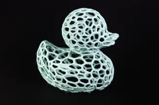 Voronoi Quack the Duck - Full Voronoi