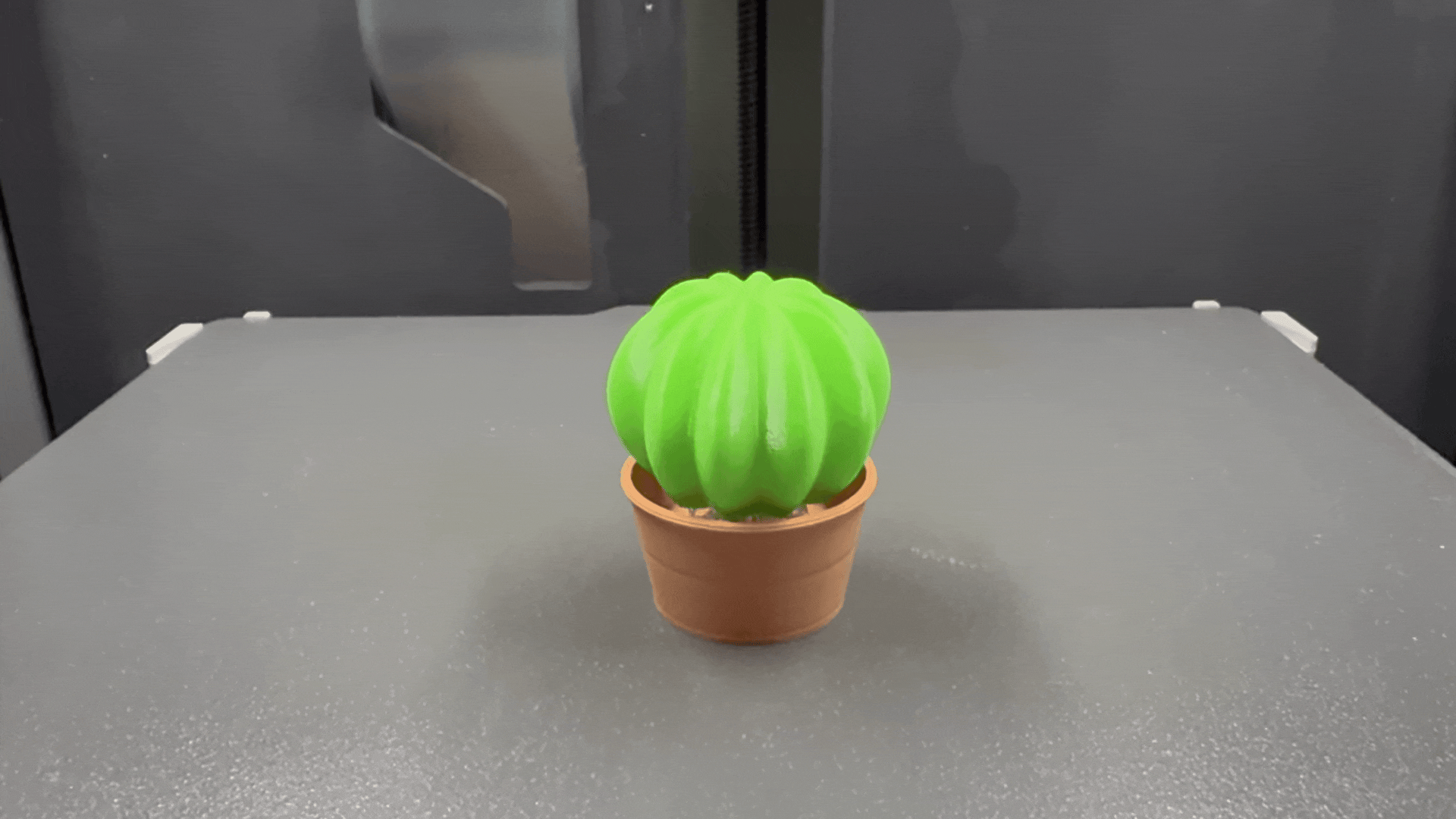 Chubby Cactus Clicker Fidget