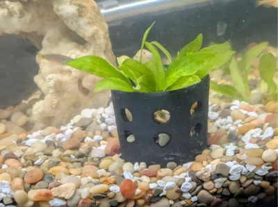 planter pot for aquarium