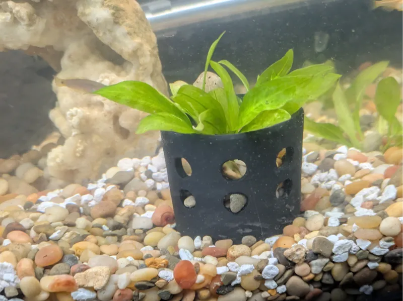 planter pot for aquarium