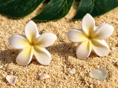 Plumeria Alba flower earrings