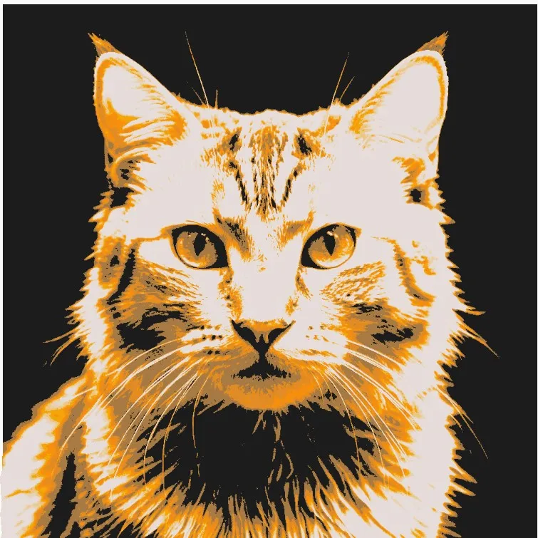 HueForge Cat : Orange, Yellow, White