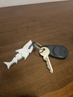 Angry Shark & Key 2 Plates