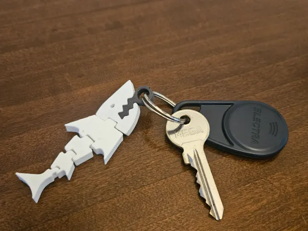 https://makerworld.bblmw.com/makerworld/model/USe690059c8f413d/design/2024-07-27_4a3b0189bac27.jpg
