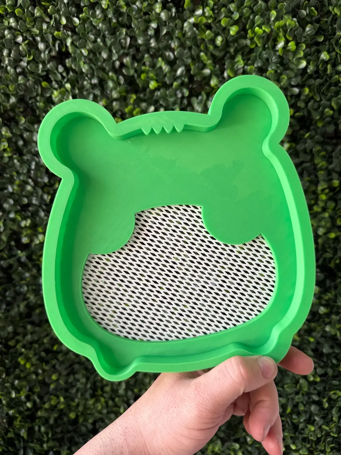 Froggy pinboard / Earring Holder view 4