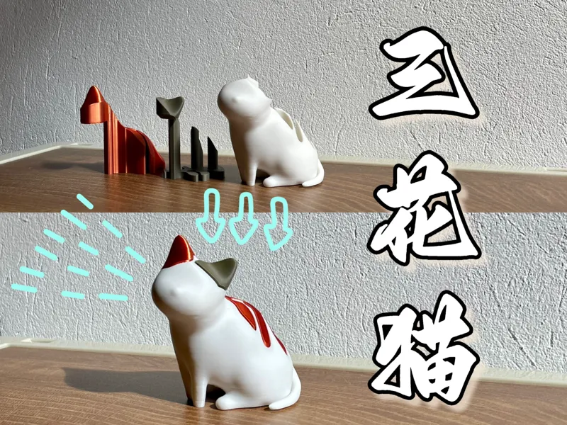 三花猫 