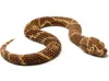 bush snake 0.2mm layer, 2 walls, 12% infill