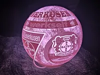 Bayer Leverkusen 170mm