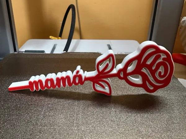 https://makerworld.bblmw.com/makerworld/model/USe69b7876dad71d/design/2025-04-22_873b2be6ed3cf8.jpg
