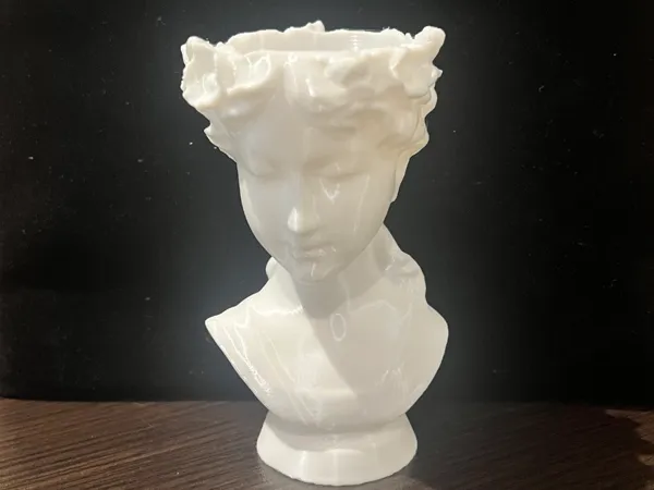 https://makerworld.bblmw.com/makerworld/model/USe6a58ba20a2343/design/2025-08-05_679385118096.jpeg