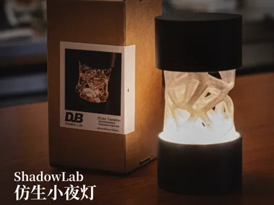 Bionic Night Light