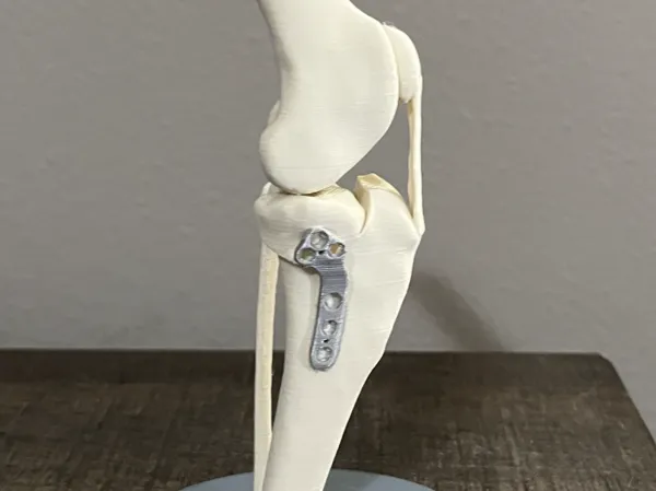 https://makerworld.bblmw.com/makerworld/model/USe6aaf7ada60f9e/design/7bd4f0551104a8eb.jpg