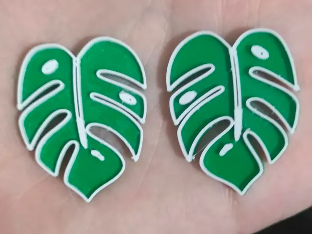 Earring - Monstera deliciosa