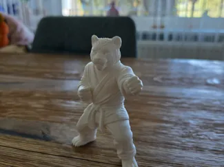 Karate Tiger
